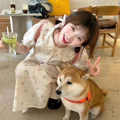 飞贼黑猫