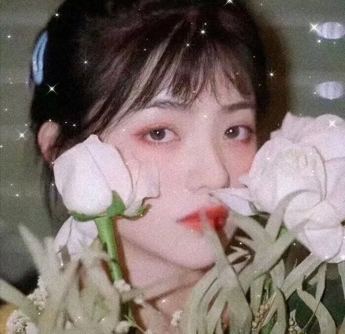 蚂蚁的梦想
