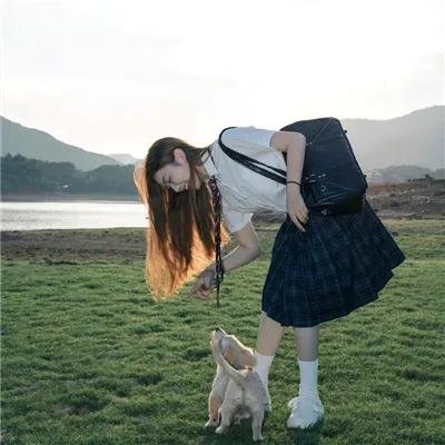 狐獴家族
